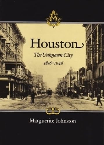Houston The Unknown City - book image