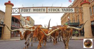 Fort Worth Stockyards entrance with a herd of Longhorn Cattle