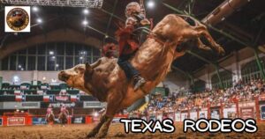 Texas Rodeo Events that Celebrate Cowboy Culture featured image of a Bullrider at a rodeo event.